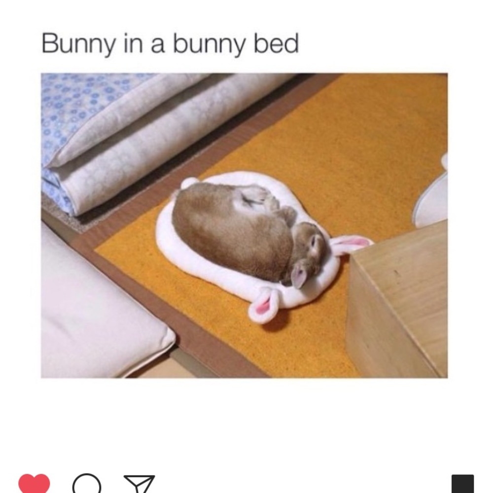 Meet your Posher, Kamisha